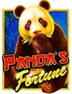 รีวิว pg รับ วอ ล เลท สำหรับนักปั่นตัวจริง