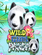 pg รับ เครดิต ฟรี: ทดลองเล่นสล็อตกับความสนุก